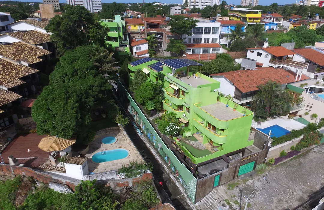 Bamboo Flat-1